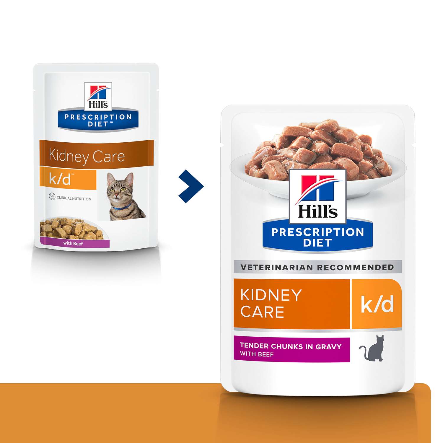 Hills kidney care hot sale cat food canada