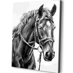 Картина по номерам Art sensation холст на подрамнике 40х50 см Ласковый конь