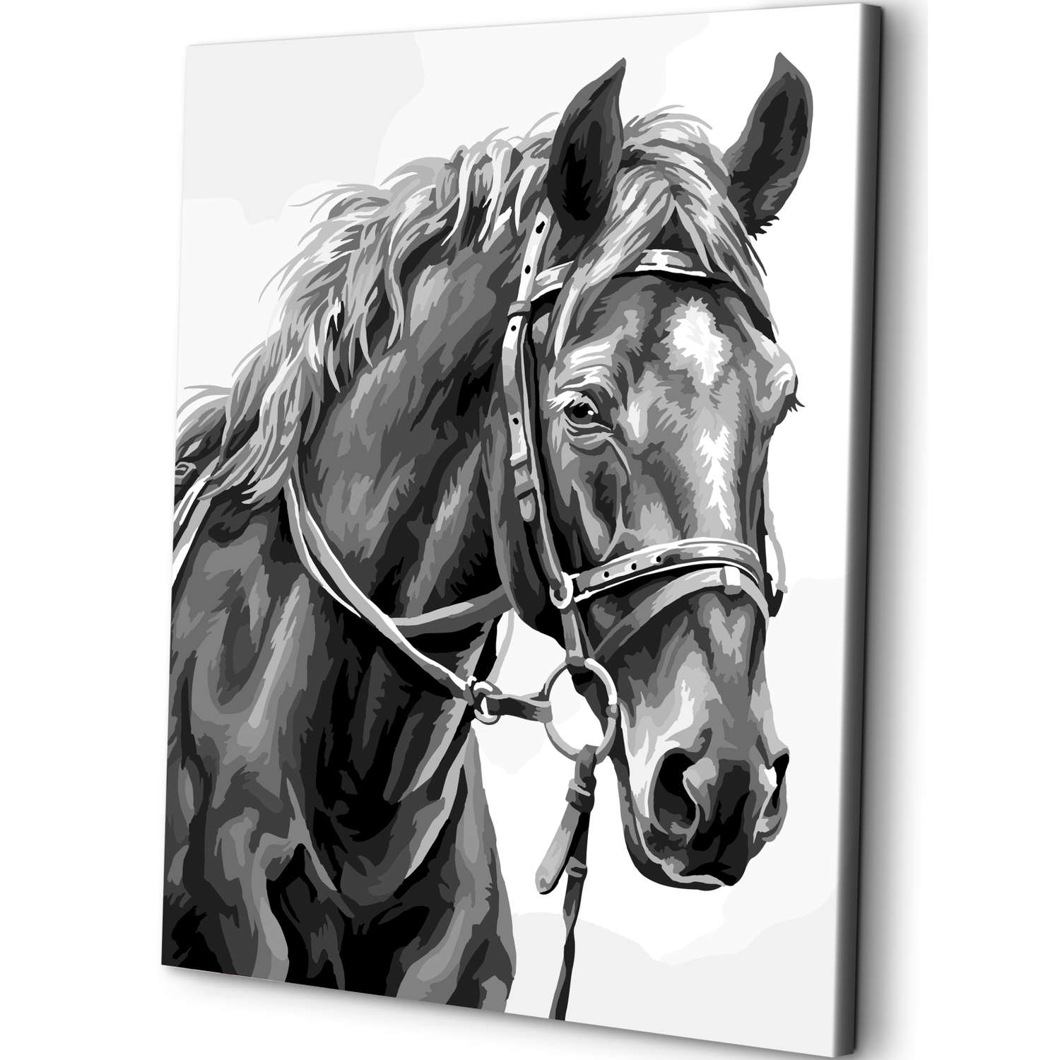 Картина по номерам Art sensation холст на подрамнике 40х50 см Ласковый конь - фото 1