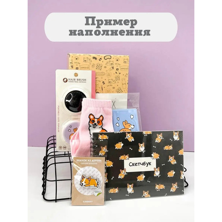 Подарочный бокс для девочки iLikeGift Milota Box mini собачка