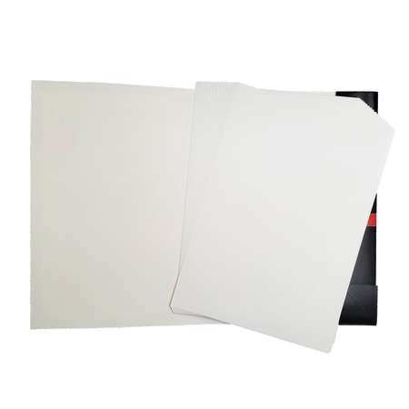 Бумага для набросков и эскизов Альт Профессиональная Серия А4 210 х 297 мм 20 листов