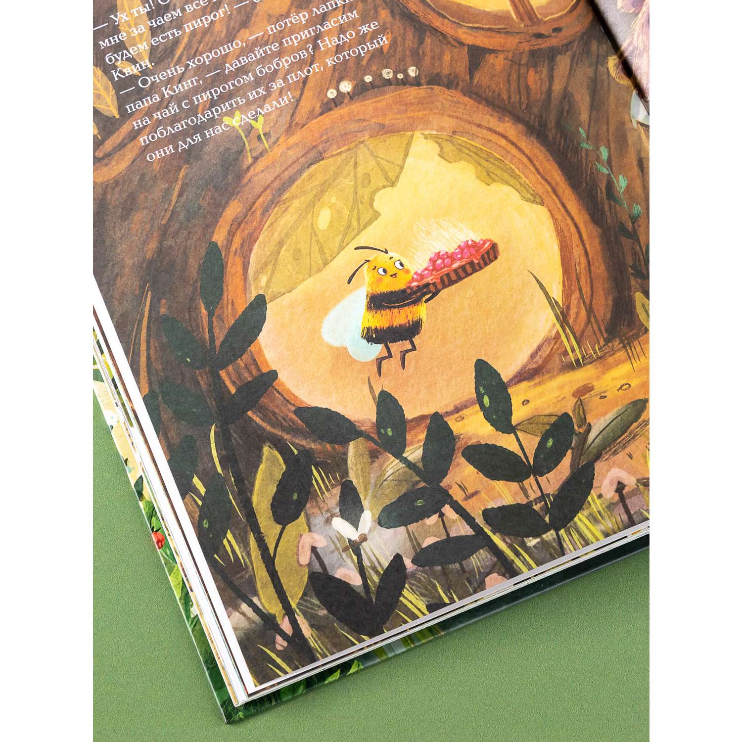 Книга Альпина. Дети Пчёлка Хани и остров Малиновой Горы - фото 8