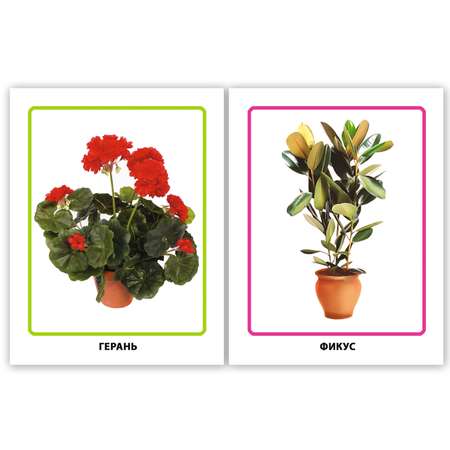 Комплект обучающих карточек Проф-Пресс Комнатные цветы+Полевые+Садовые