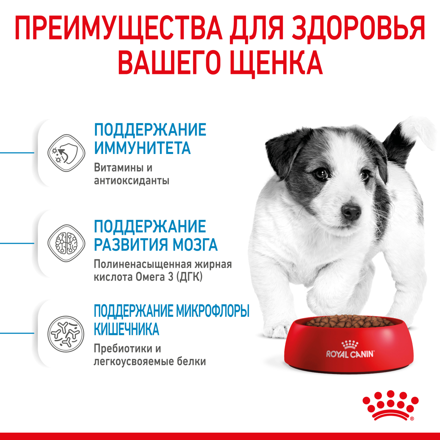 Корм для щенков ROYAL CANIN Puppy мелких пород 800г - фото 5