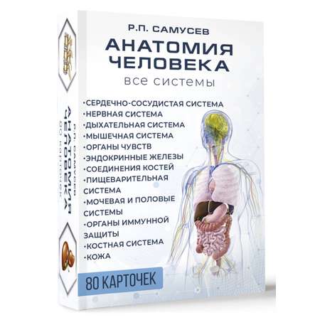 Книги АСТ Анатомия человека. 80 карточек. все системы