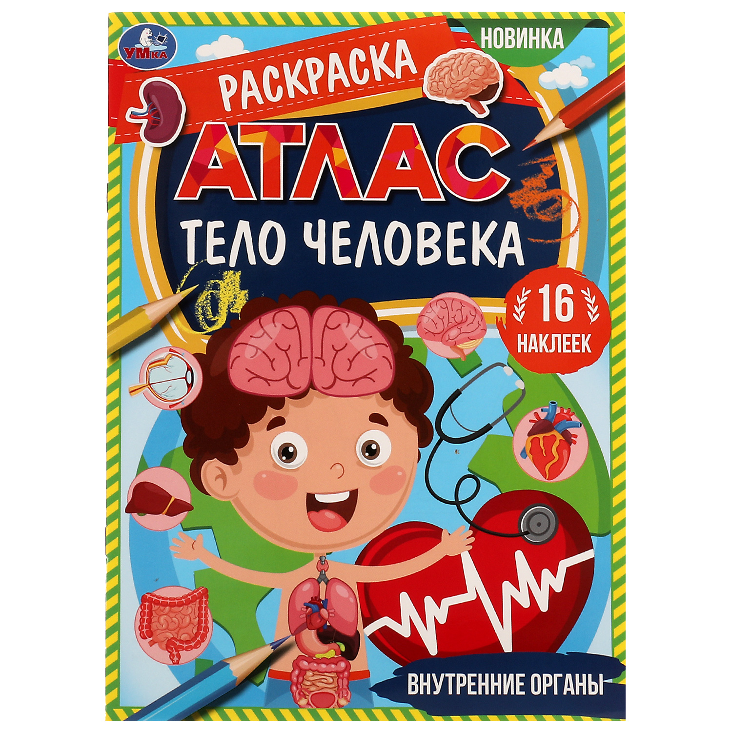 Раскраска УМка Атлас Тело человека 331478 - фото 1
