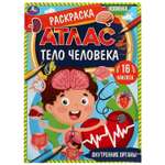 Раскраска УМка Атлас Тело человека 331478