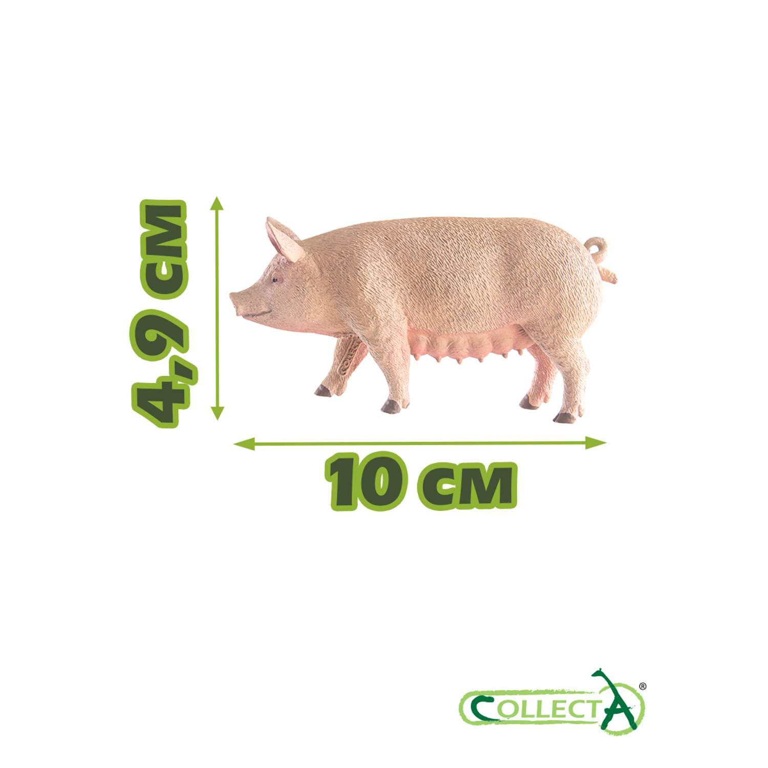 Игрушка Collecta Свинья фигурка животного - фото 2