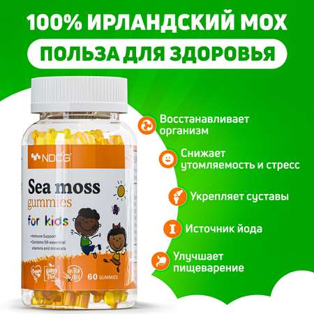 Мультивитамины для детей NDCG Sea Moss ирландский мох NDCG for Kids апельсин 60 жевательных пастилок