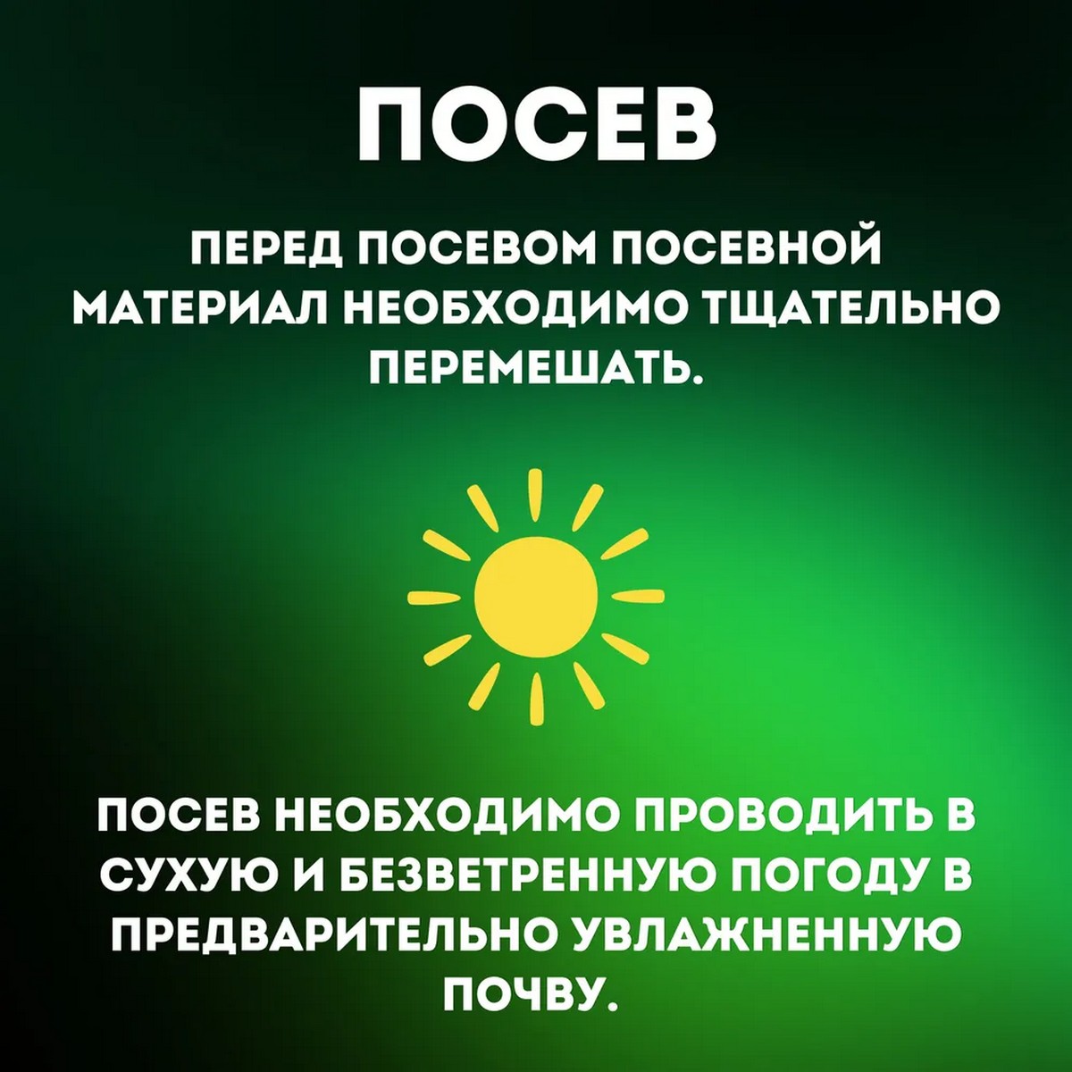 Семена газонных трав АгроСидсТрейд газон Универсальный 10 кг - фото 5