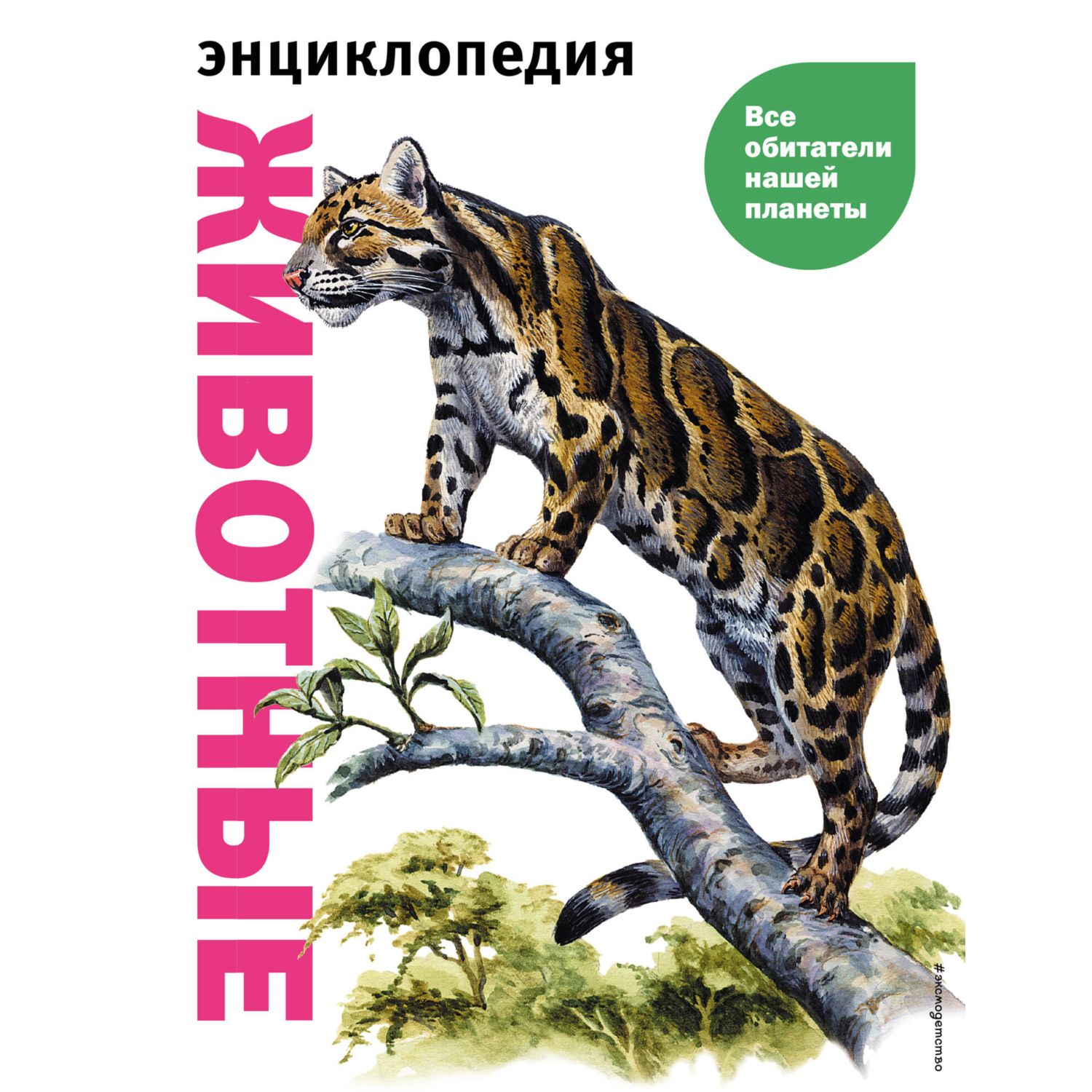 Книга Животные Все обитатели нашей планеты купить по цене 762 ₽ в  интернет-магазине Детский мир