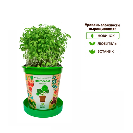 Набор для выращивания Happy Plant Вырасти сам растение в горшочке Кресс-салат полезный