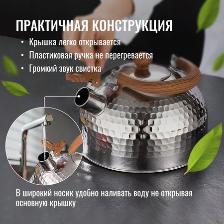 Чайник ZDK Homium для газовой плиты со свистком