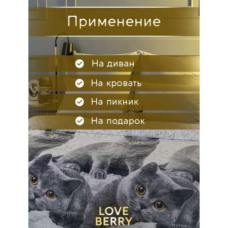 Плед LOVEBERRY 1,5 спальный британцы