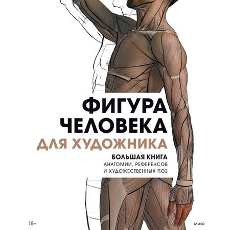 Книга МиФ Фигура человека для художника Большая книга анатомии референсов и художественных поз