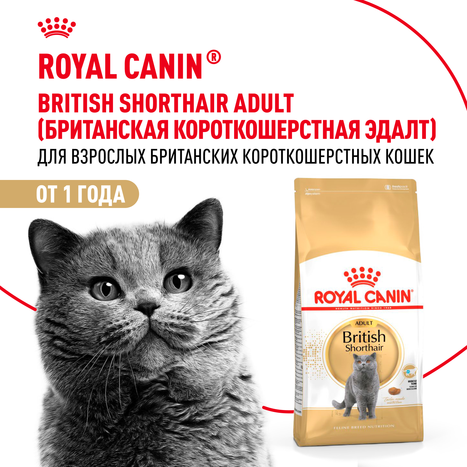 Корм сухой для кошек ROYAL CANIN British Shorthair 4кг британской короткошерстной породы - фото 1