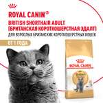 Корм сухой для кошек ROYAL CANIN British Shorthair 4кг британской короткошерстной породы