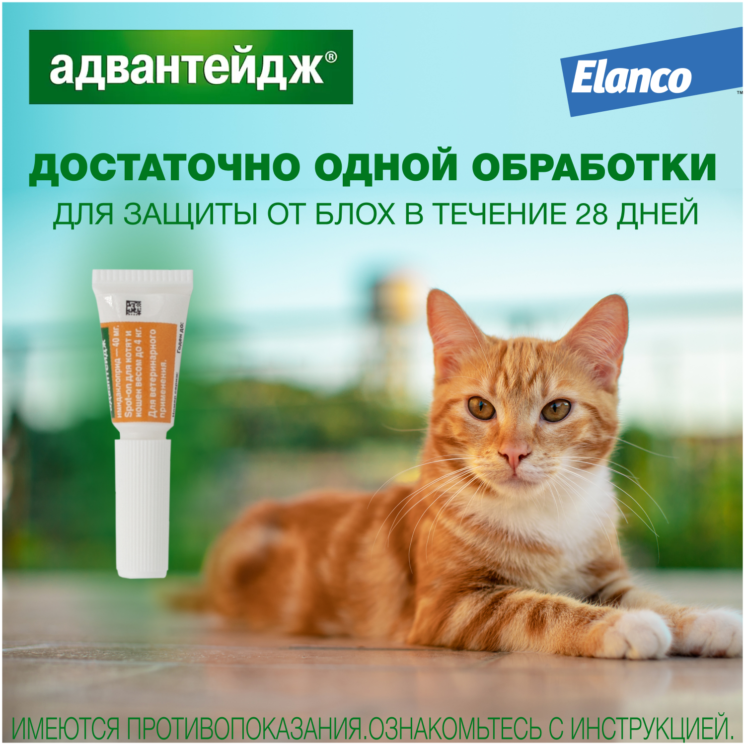 Капли для котят и кошек Elanco Адвантейдж против блох 1пипетка купить по  цене 302 ₽ с доставкой в Москве и России, отзывы, фото