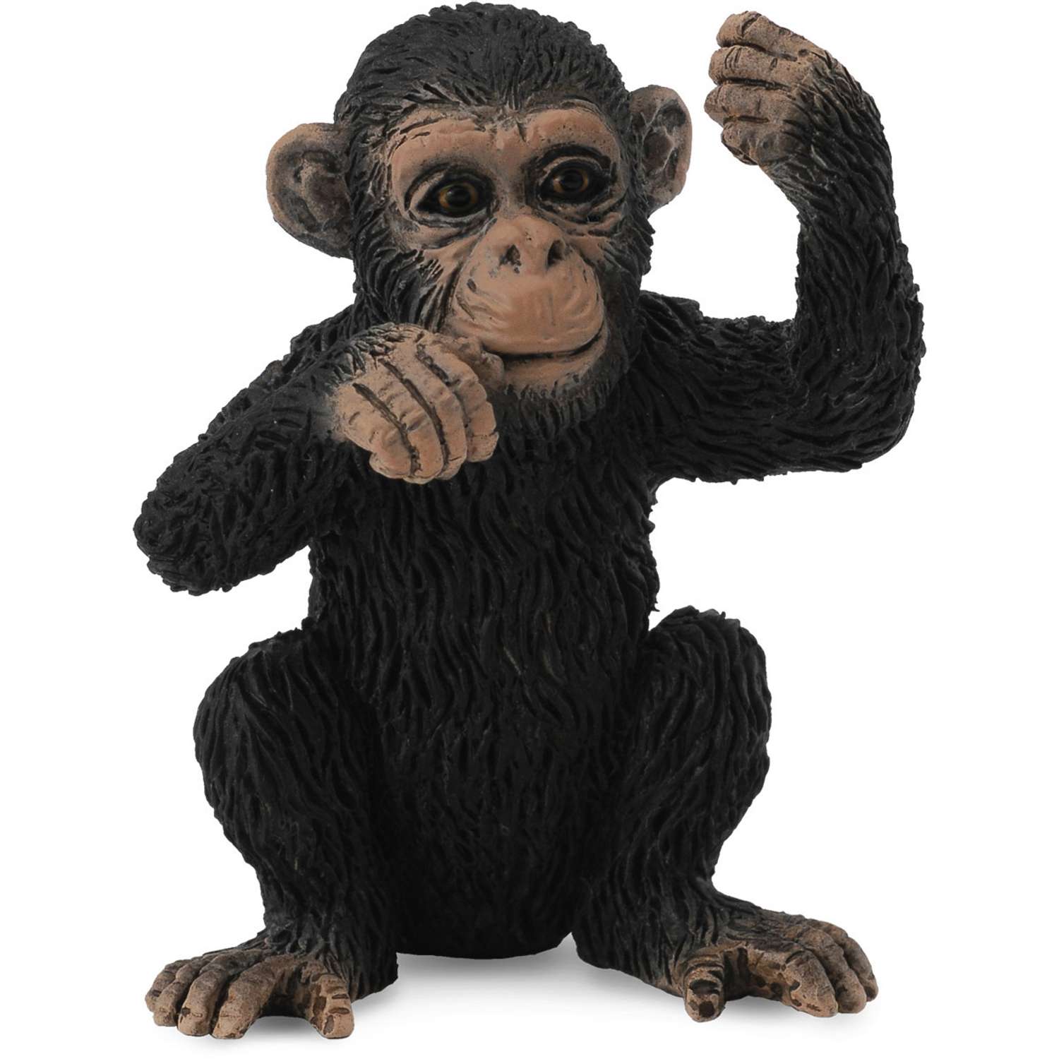 Фигурка животного Collecta Детеныш шимпанзе купить по цене 312 ₽ в  интернет-магазине Детский мир