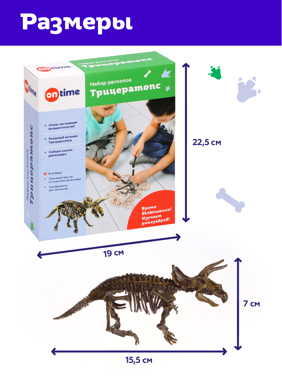 Раскопки динозавров ON TIME Трицератопс - фото 6
