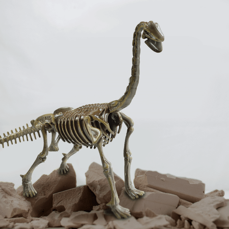 Набор для экспериментов KONIK Science раскопки ископаемых животных Брахиозавр