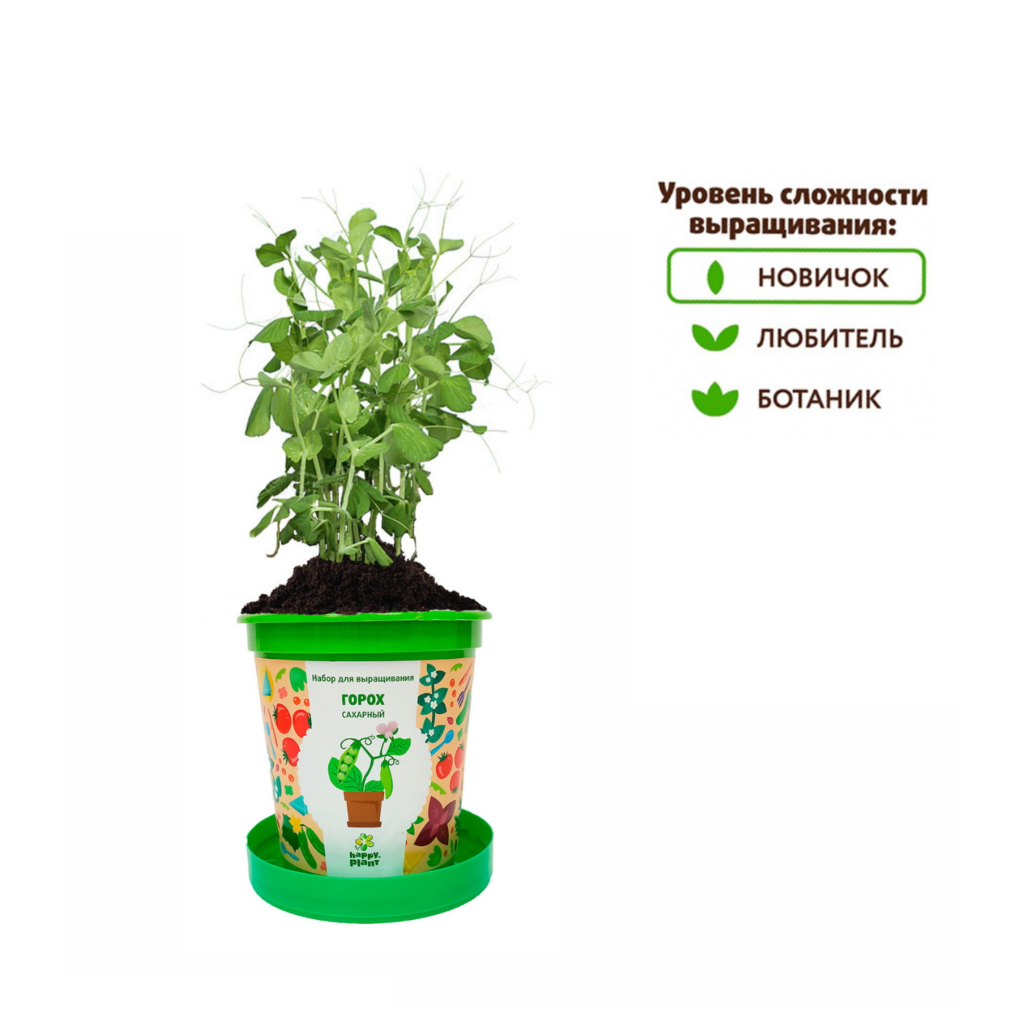 Набор для выращивания Happy Plant Вырасти сам растение в горшочке Горох  сахарный купить по цене 335 ₽ в интернет-магазине Детский мир