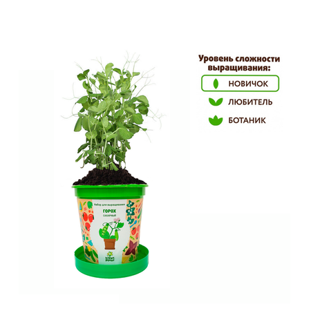 Набор для выращивания Happy Plant Вырасти сам растение в горшочке Горох сахарный