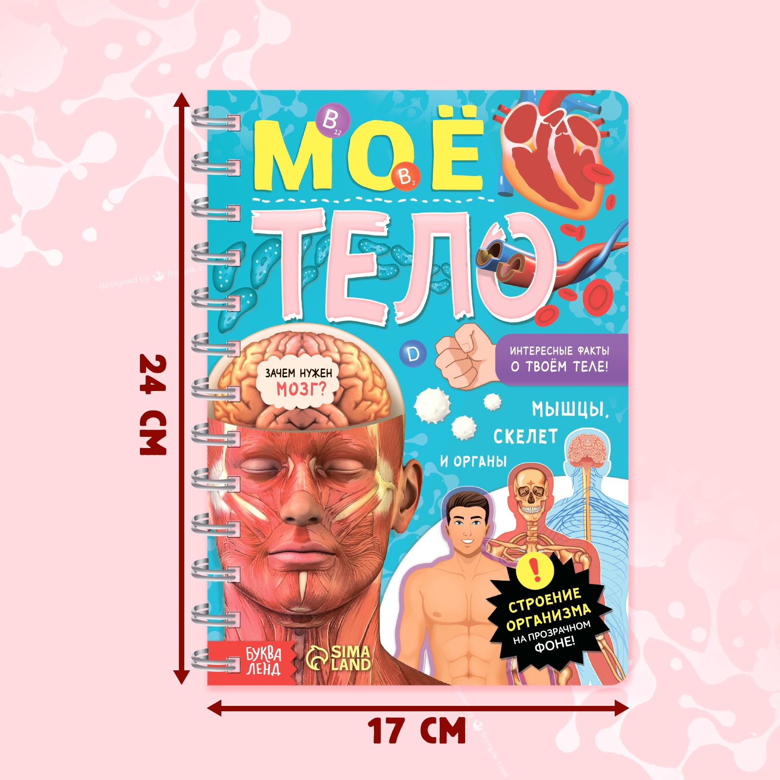 Книга Буква-ленд с прозрачными страницами «Моё тело» 32 страницы - фото 2