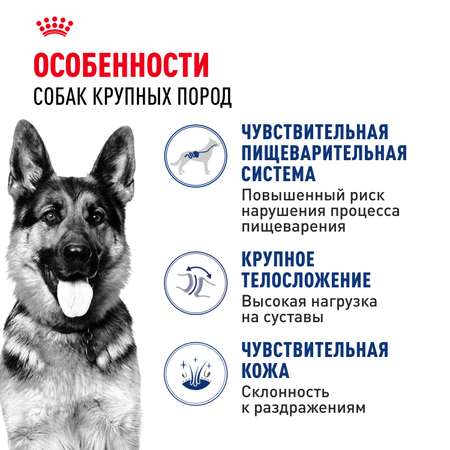 Корм для собак ROYAL CANIN крупных пород до 5 лет 15кг