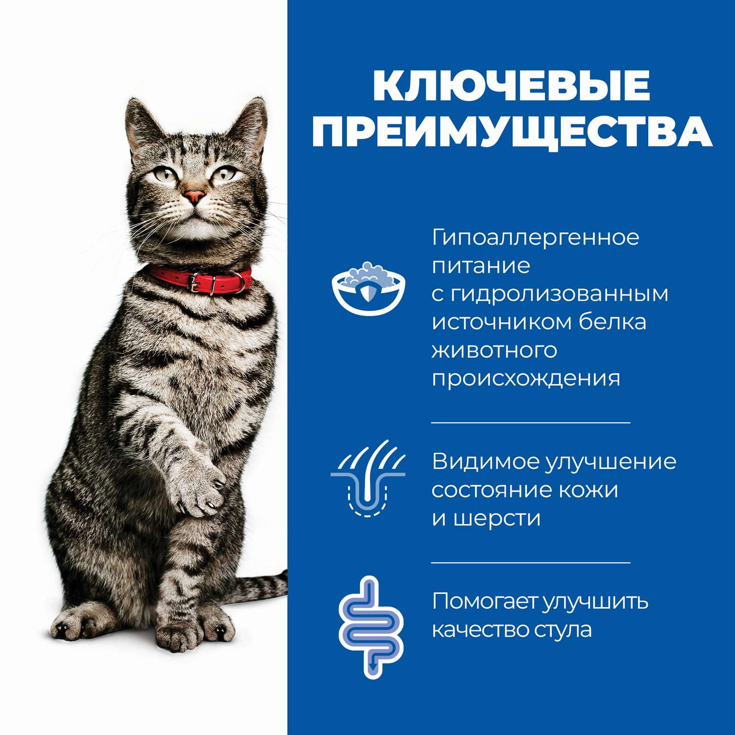 Корм для кошек HILLS 2кг Prescription Diet z/d Food Sensitivities диетический при аллергии и заболеваниях кожи - фото 3