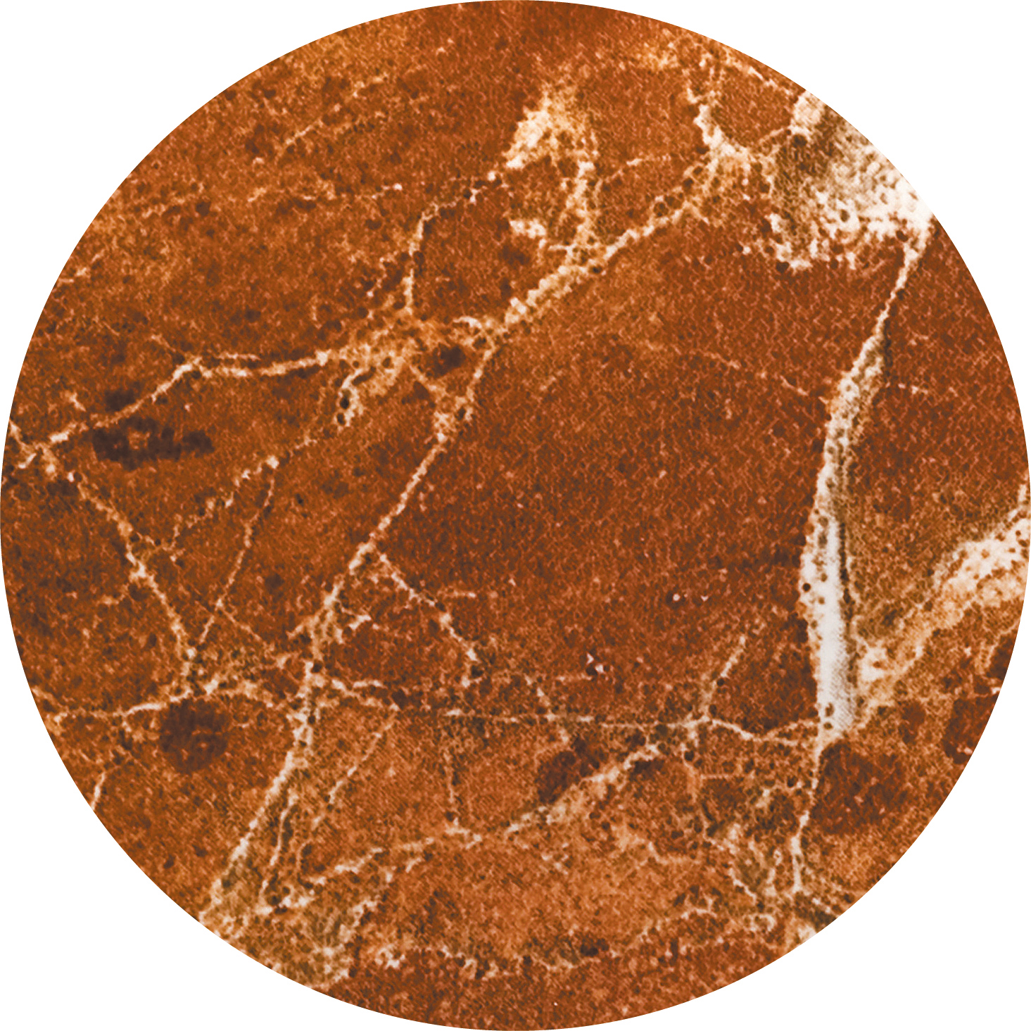 Чехол на бутыль 19л Coolpaq Brown Marble - фото 3