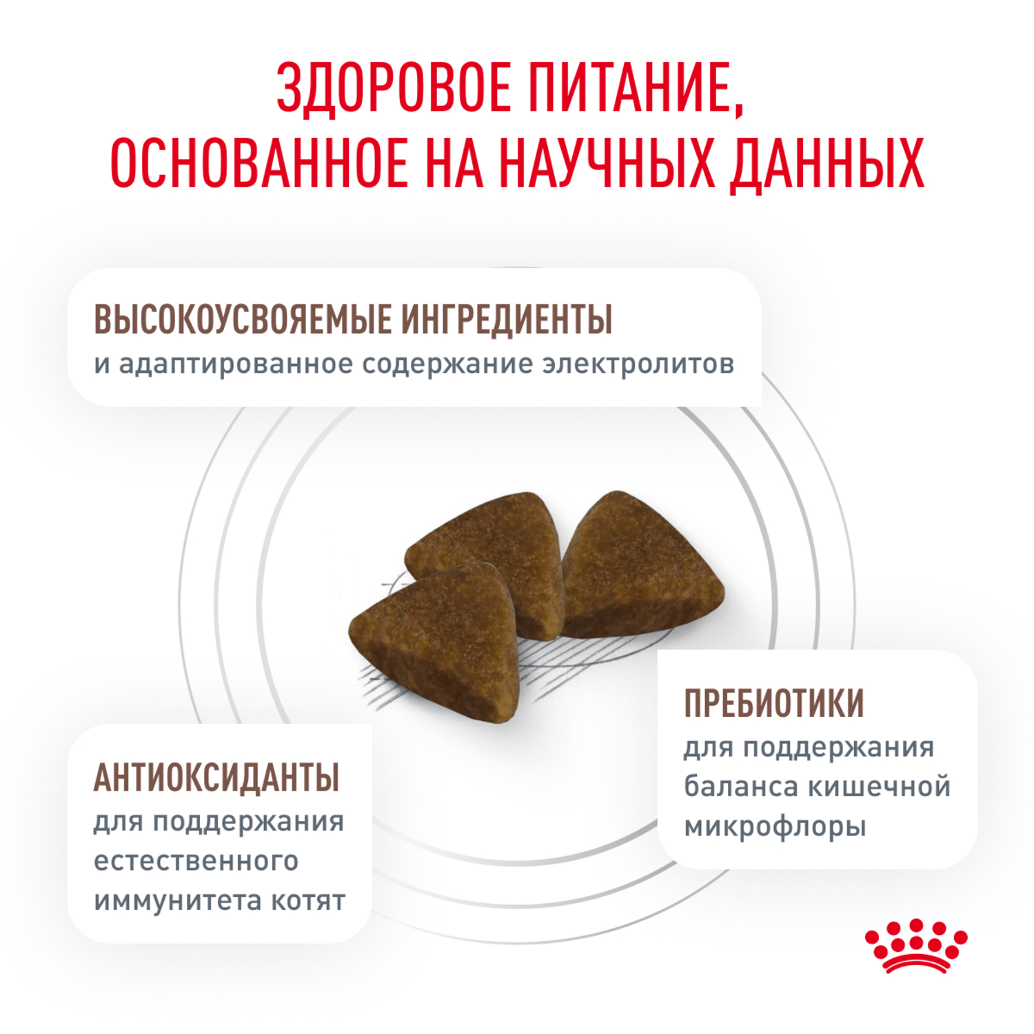 Корм для котят Royal Canin 0.4кг Gastrointestinal Kitten при нарушениях пищеварения сухой - фото 4