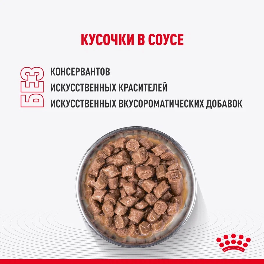 Корм для котят Royal Canin 85г Kitten Sterilised соус для стерилизованных котят пауч - фото 9