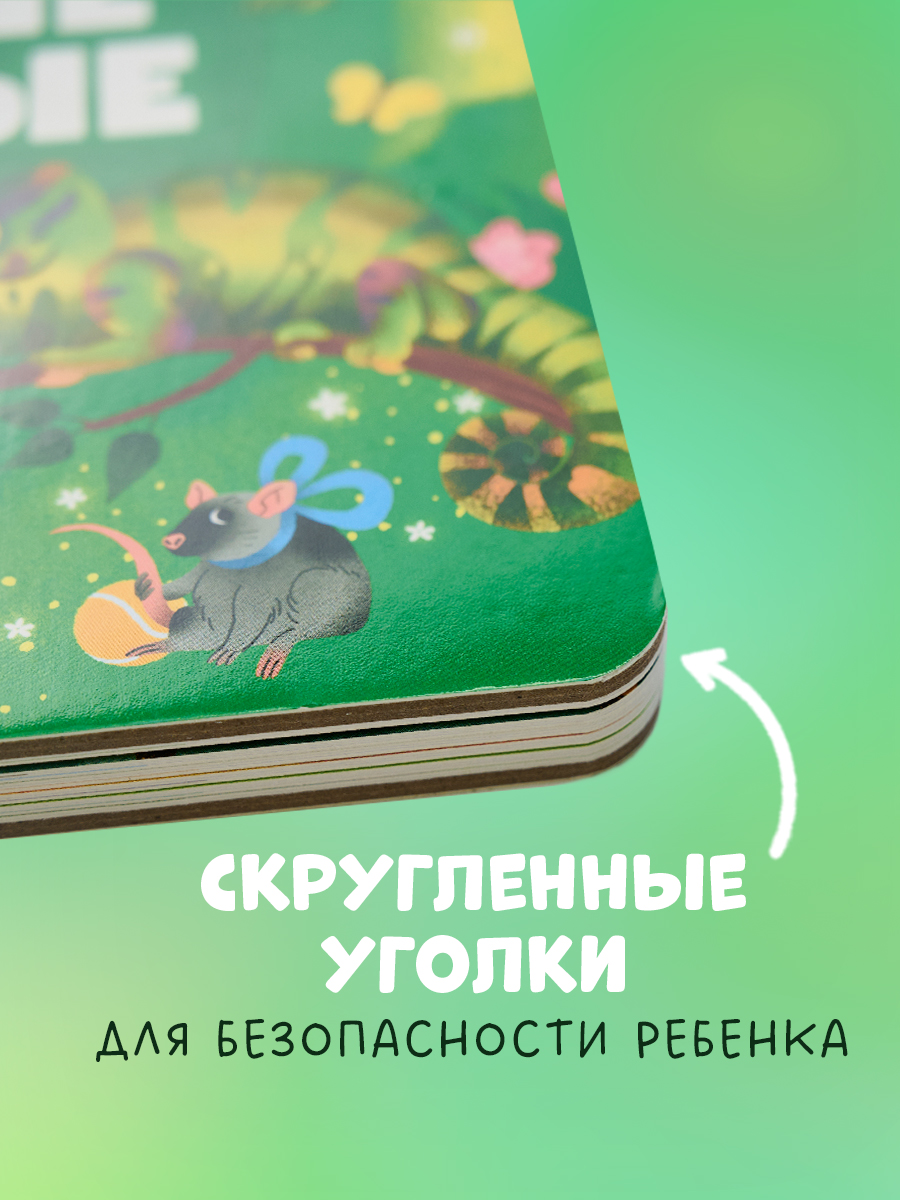 Книга Clever Любимые животные. Энциклопедия с окошками - фото 7