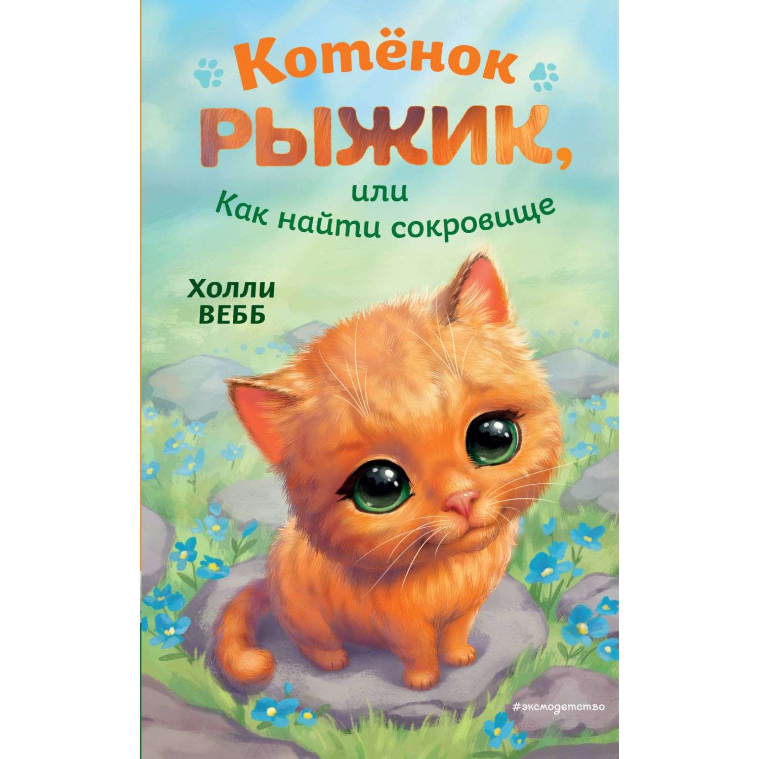 Книга Котёнок Рыжик или Как найти сокровище - фото 1