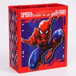 Пакет Marvel Spider-Man Marvel
