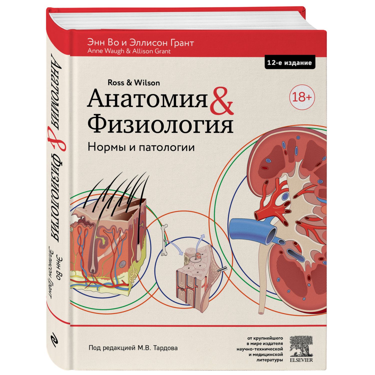 Книга ЭКСМО-ПРЕСС Анатомия и физиология Нормы и патологии - фото 1