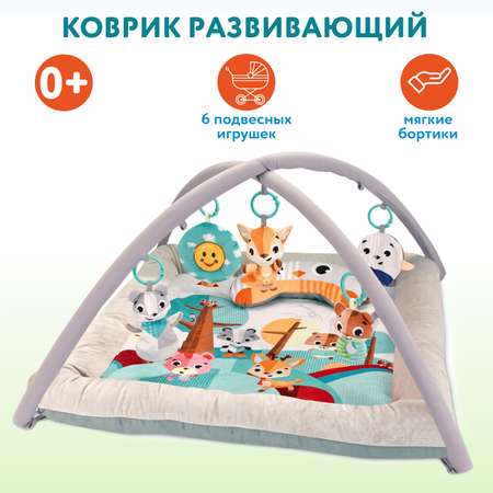 Коврик развивающий Ocie OTE0657958