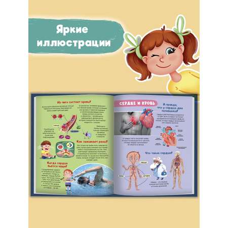 Книга Проф-Пресс Интересные факты о теле человека