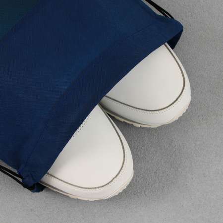 Сумка ArtFox STUDY для обуви «Только вперёд» нетканное полотно размер 41х31 см