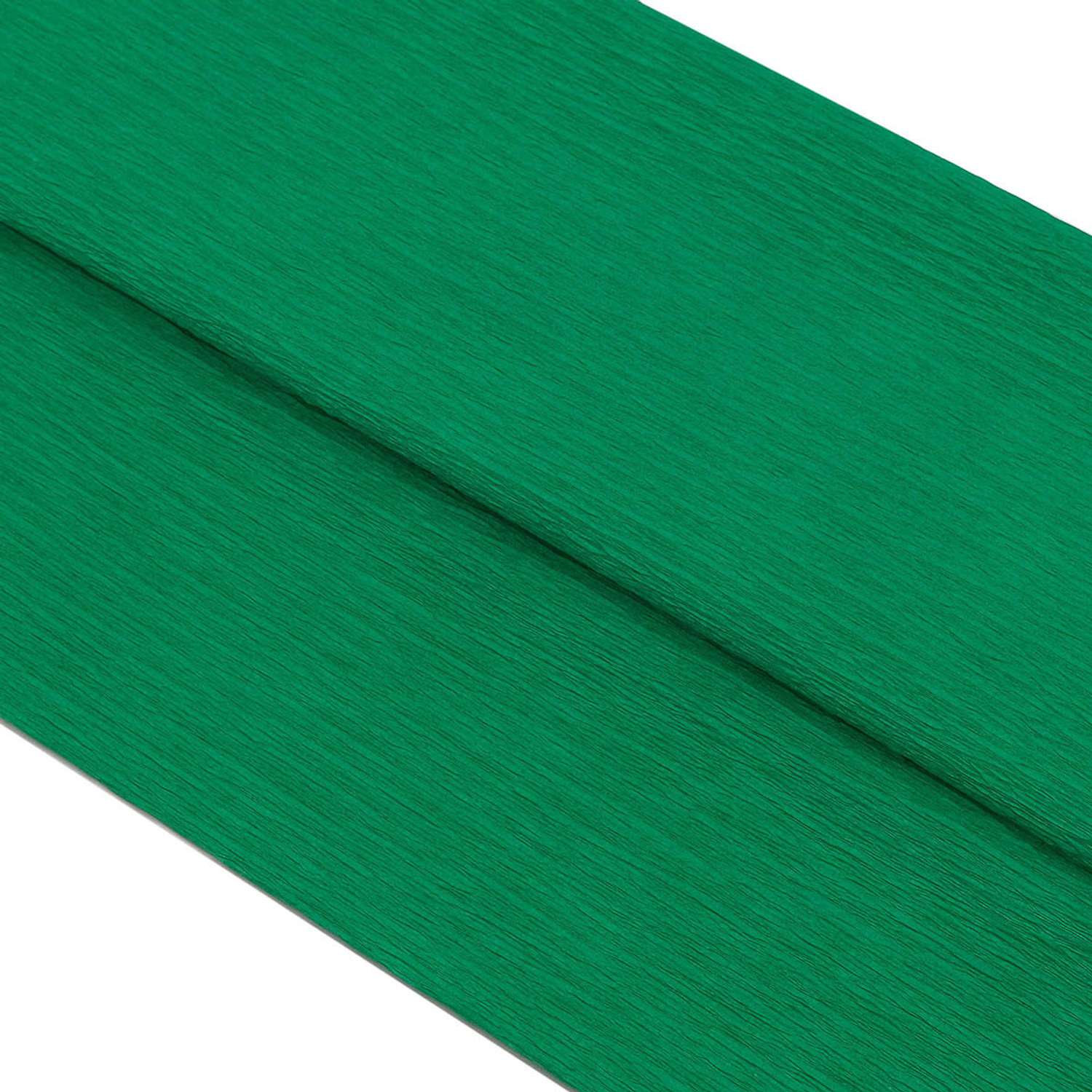 Бумага Astra Craft креповая упаковочная для творчества и флористики 50х200 см 35 гр/м2 2 шт темно - зеленая - фото 1