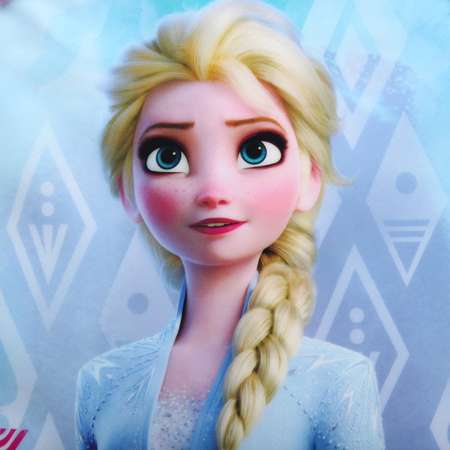 Рюкзак дошкольный Erhaft Disney Frozen FRZ-00001