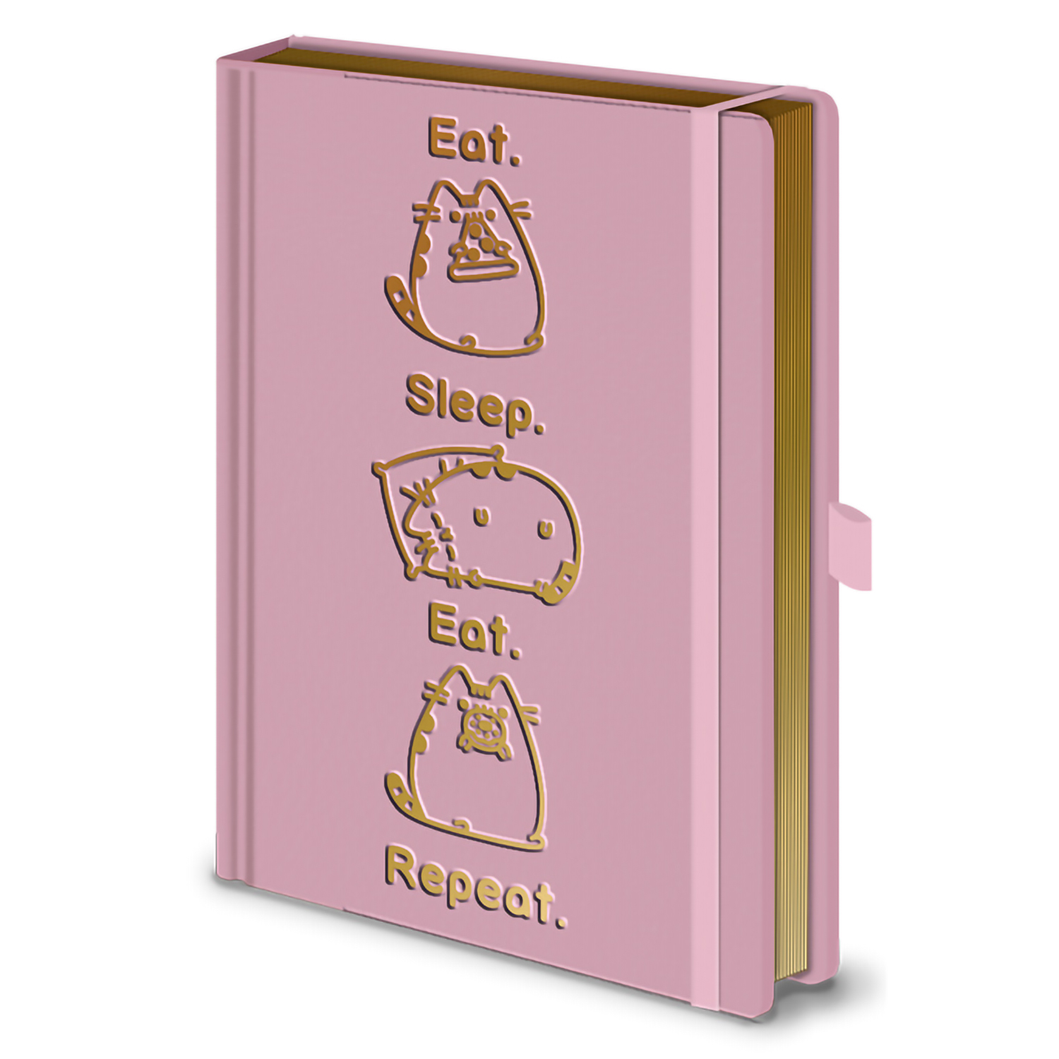 Записная книжка Pyramid Pusheen Premium A5 SR72508 - фото 1