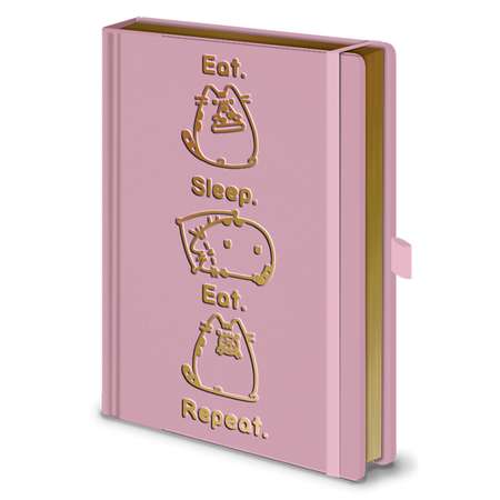 Записная книжка Pyramid Pusheen Premium A5 SR72508