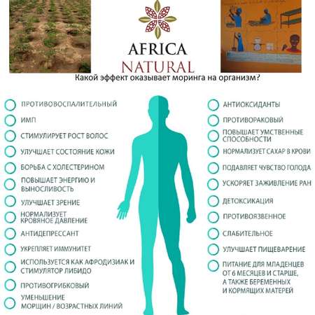 Чай моринга листья Africa Natural Чай травяной детокс и очищение 50 гр