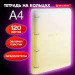 Тетрадь на кольцах Brauberg А4 со сменным блоком большая 120 листов с разделителями