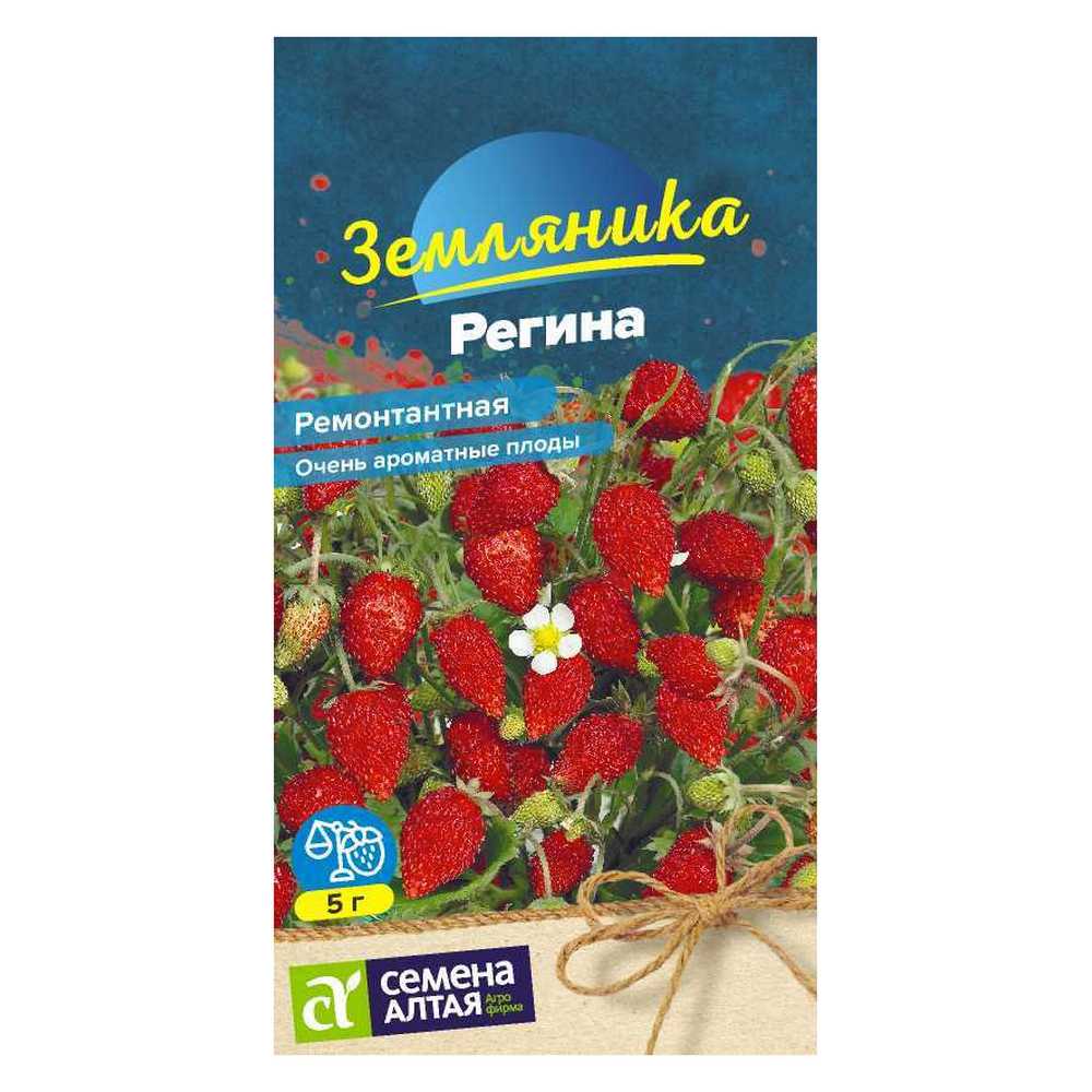 Семена Семена Алтая ягода земляника Регина ремонтантная 0.04 г - фото 1