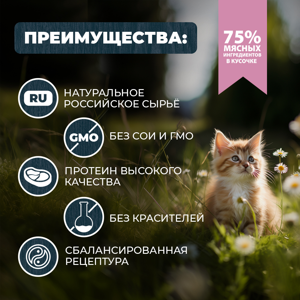 Корм для котят Родные корма По-ростовски курица-потрошки кусочки в соусе 85г - фото 2