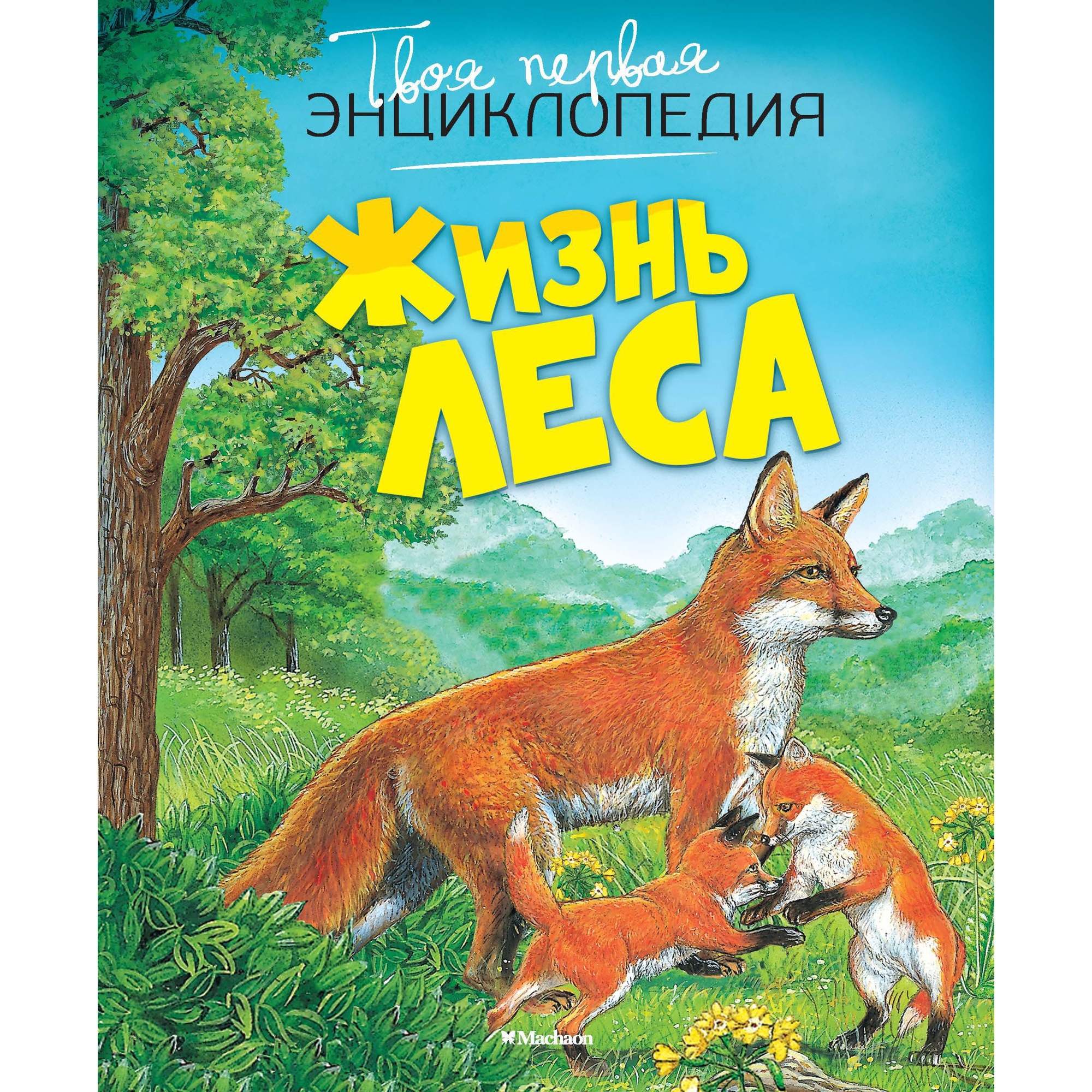 Книга Махаон Жизнь леса - фото 10