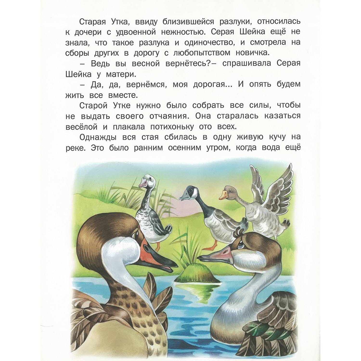 Набор книг Русич стихи и сказки для малышей 6 шт - фото 7